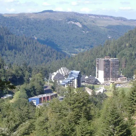 Apartman T2 Cosy Au Coeur De - Pres Des Pistes, Commerces Et Patinoire - Fr-1-787-37 Laveissière